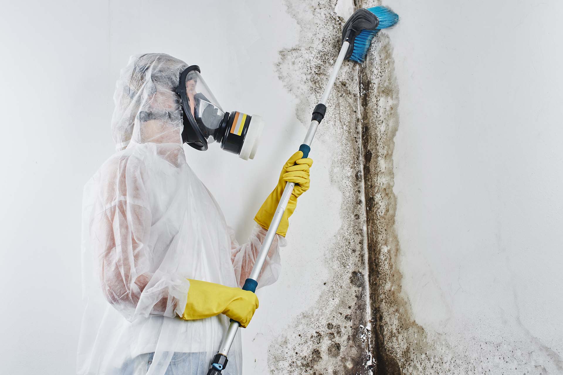 Wall damage before professional **mold remediation** in Florida, Certified technician performing mold removal services in Florida wearing protective gear